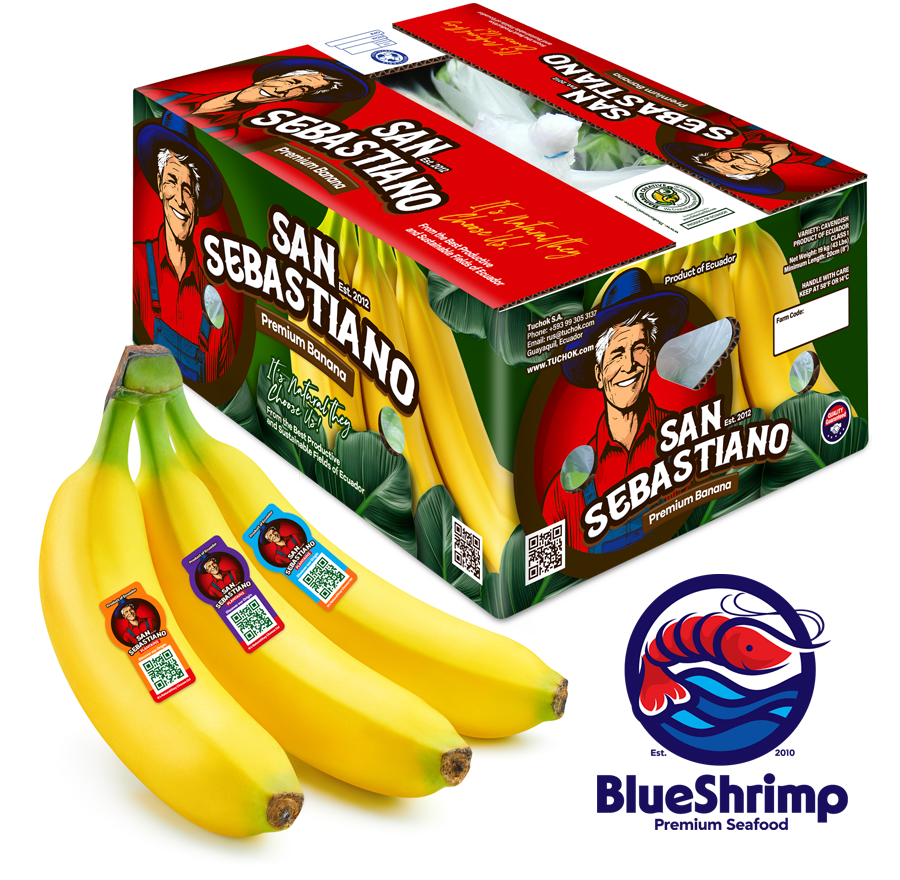 Productos San Sebastiano y BlueShrimp